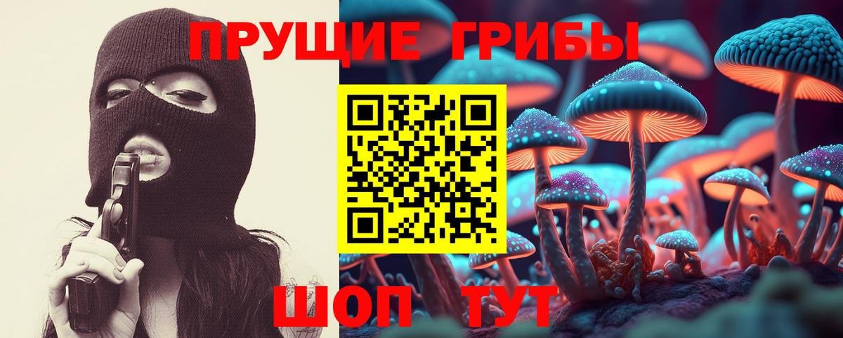 Галлюциногенные грибы MAGIC MUSHROOMS  Псилоцибиновые грибы прущие грибы  Вход с VPN  Ленинск-Кузнецкий 